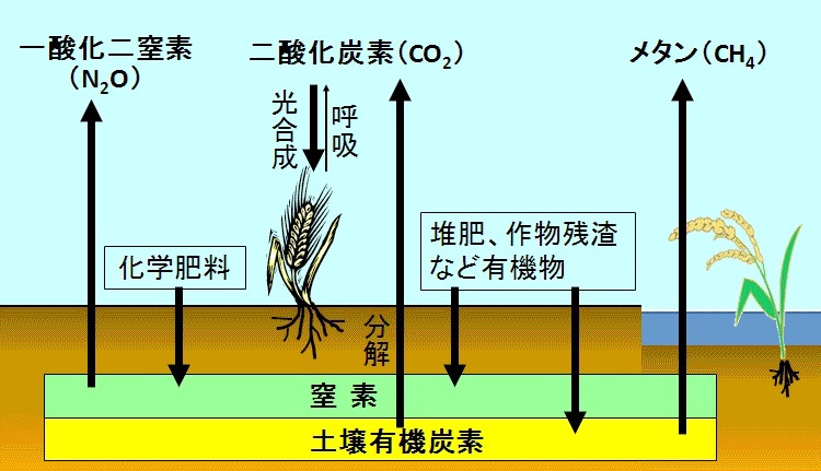 ⑩ 19.2 温室効果ガスの発生抑制及び省エネルギーの努力_b0391989_09210899.jpg