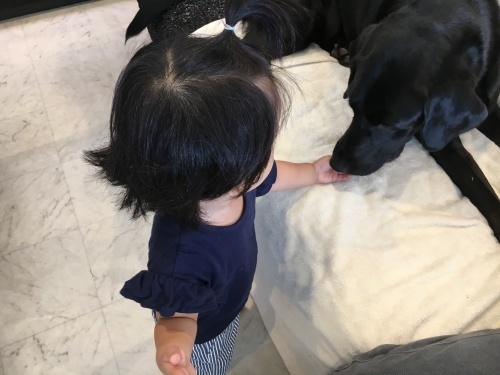 babyとわんこ_f0347891_17004255.jpeg