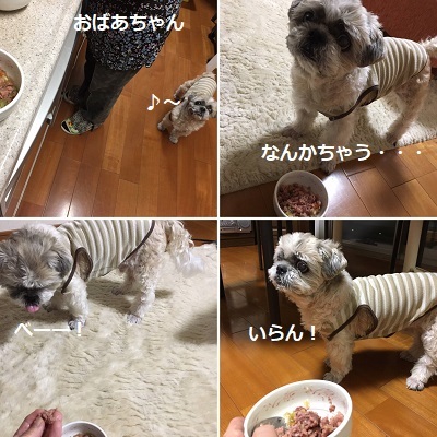 届いた生地と焼き芋と贅沢フード。_f0372998_22224257.jpg
