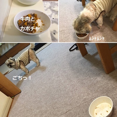 届いた生地と焼き芋と贅沢フード。_f0372998_22230343.jpg