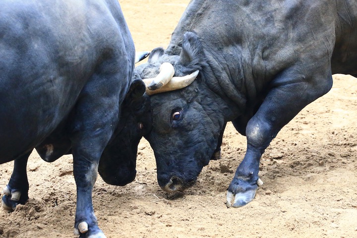 b0016600_0335996.jpg