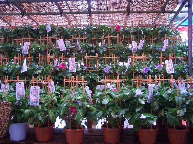 c0187004_19493238.jpg