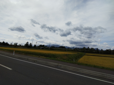b0040606_20374867.png