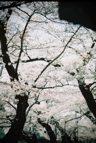 春から秋へ。_c0217406_10125535.jpeg