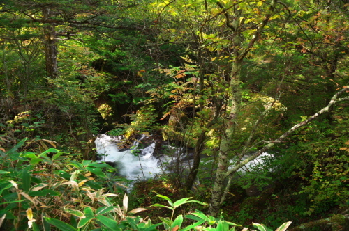 a0263109_10475620.jpg