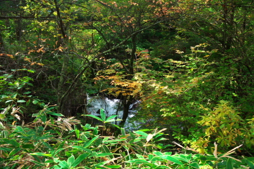 a0263109_10475621.jpg