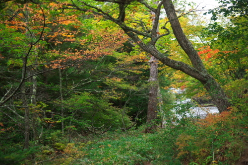 a0263109_10484739.jpg