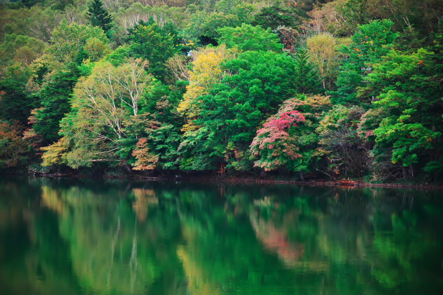 奥日光 湯ノ湖の紅葉の始まり_a0263109_10542808.jpg