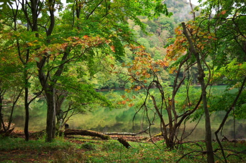 奥日光 湯ノ湖の紅葉の始まり_a0263109_10542873.jpg