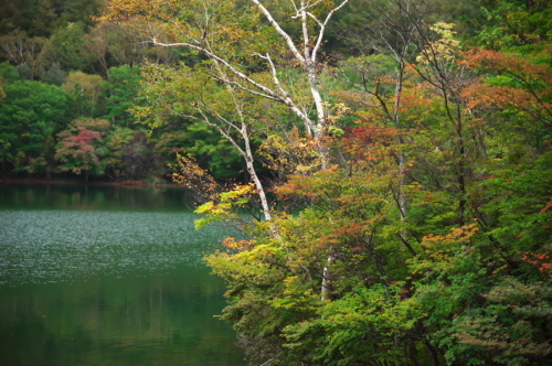 奥日光 湯ノ湖の紅葉の始まり_a0263109_10542928.jpg