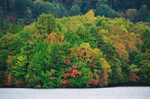 奥日光 湯ノ湖の紅葉の始まり_a0263109_10545461.jpg