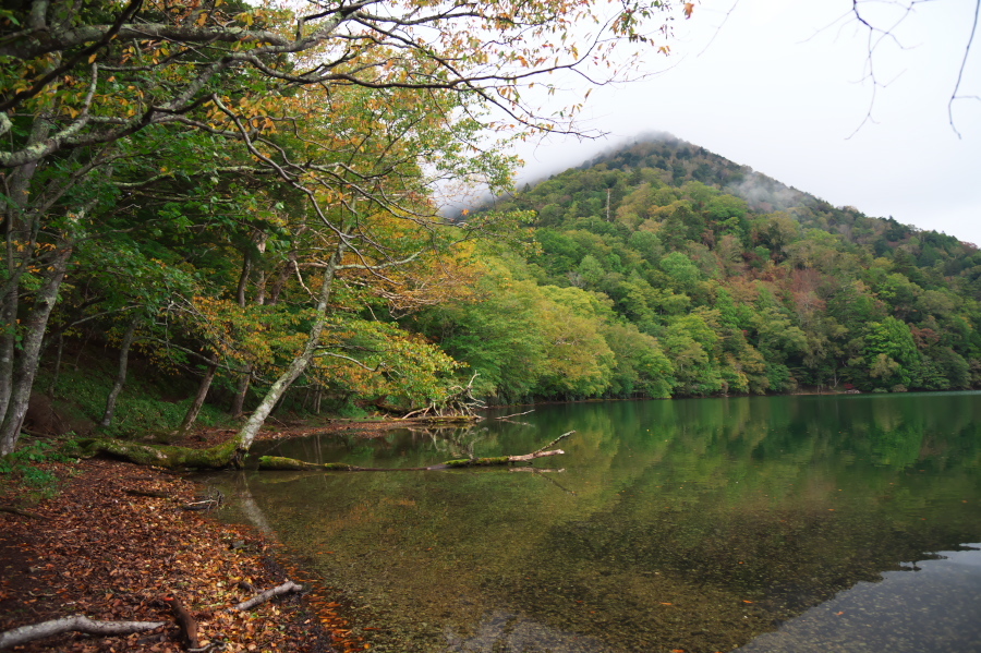 奥日光 湯ノ湖の紅葉の始まり_a0263109_10545500.jpg