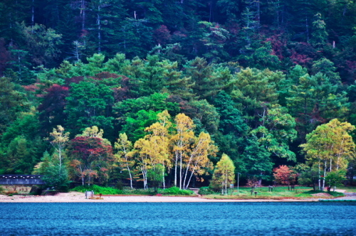 奥日光 湯ノ湖の紅葉の始まり_a0263109_10545578.jpg