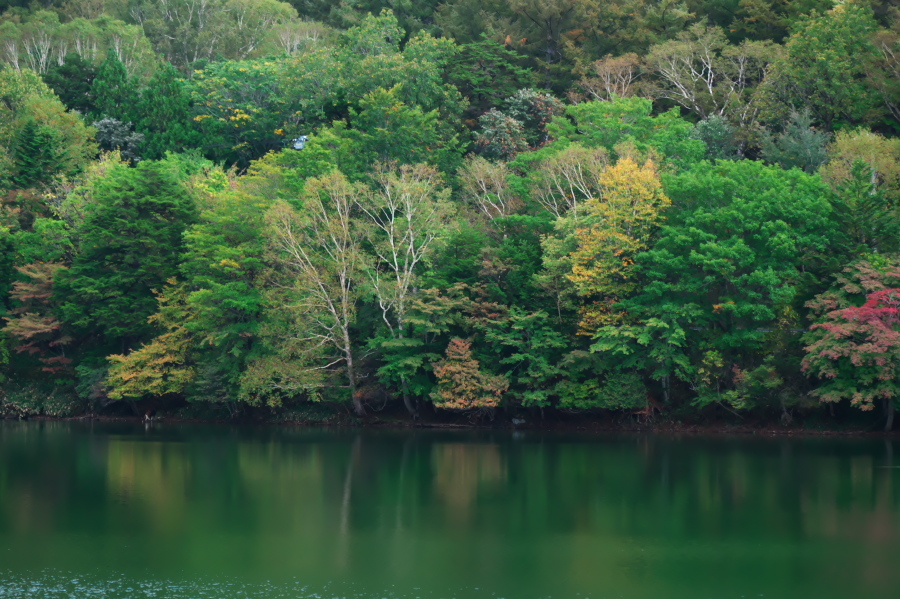奥日光 湯ノ湖の紅葉の始まり_a0263109_10545604.jpg