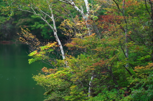 奥日光 湯ノ湖の紅葉の始まり_a0263109_10545668.jpg