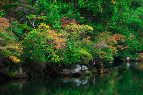 奥日光 湯ノ湖の紅葉の始まり_a0263109_10551809.jpg