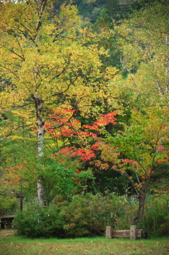 a0263109_11003171.jpg