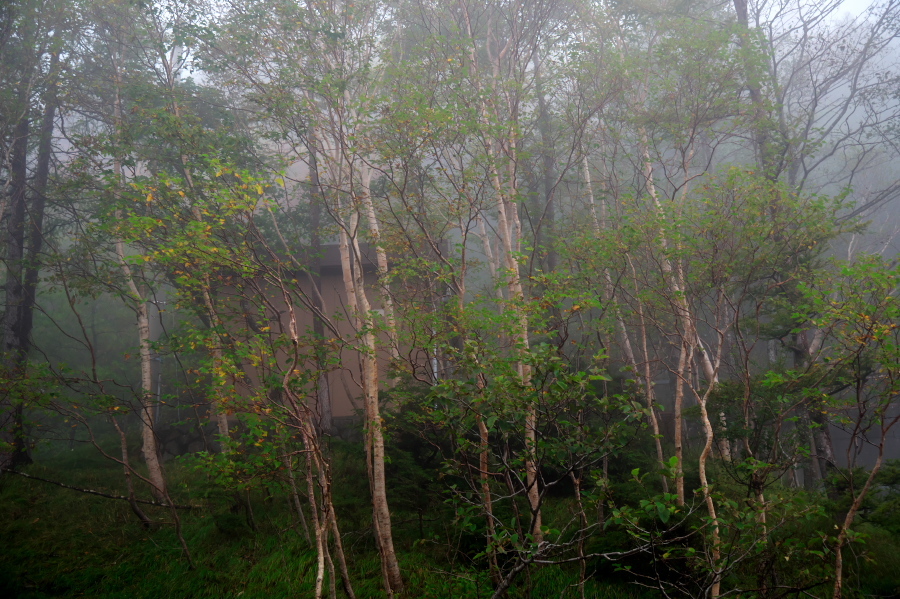 a0263109_11003249.jpg