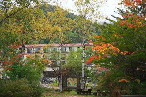 a0263109_11003276.jpg