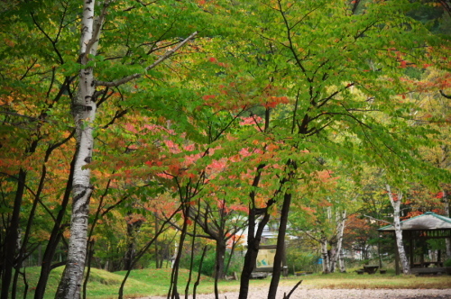 a0263109_11003381.jpg