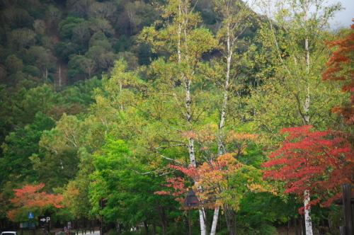 a0263109_11010263.jpg