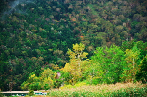 a0263109_11010308.jpg