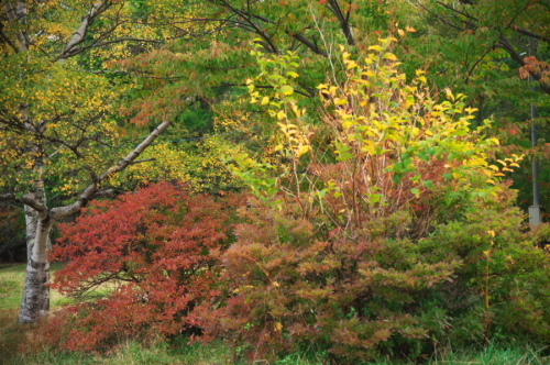 a0263109_11010407.jpg