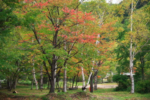 a0263109_11012991.jpg