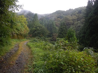 久々の充実沢登り…白倉谷〜金草岳_c0359615_21443282.jpg