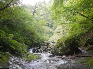 久々の充実沢登り…白倉谷〜金草岳_c0359615_21450693.jpg