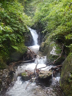 久々の充実沢登り…白倉谷〜金草岳_c0359615_21454422.jpg