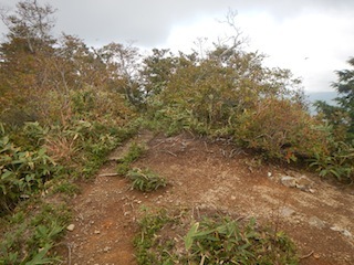 久々の充実沢登り…白倉谷〜金草岳_c0359615_21475627.jpg