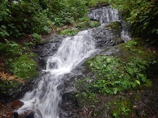 久々の充実沢登り…白倉谷〜金草岳_c0359615_21480079.jpg