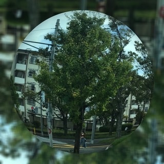 d0070316_17554507.jpeg