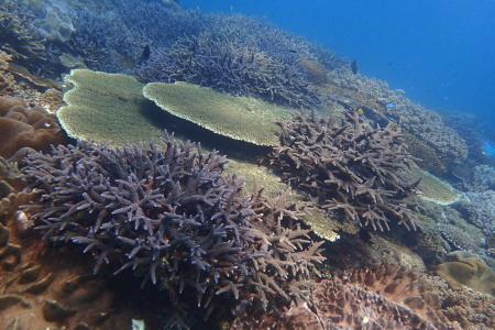 １９．１０．８　宜野湾・２大エリアを_b0100730_19023687.jpg