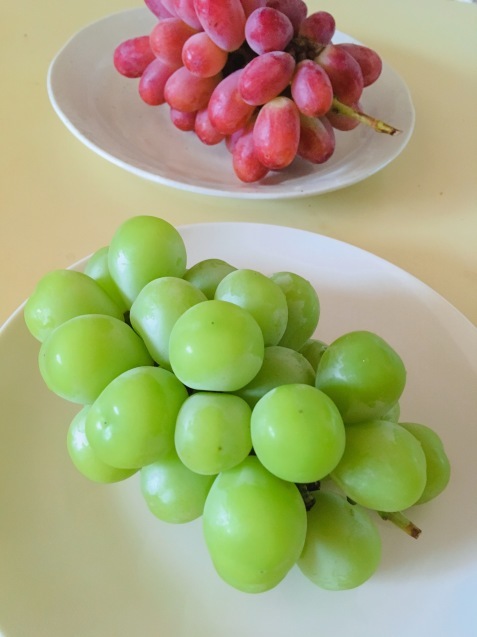 c0221732_15583751.jpeg