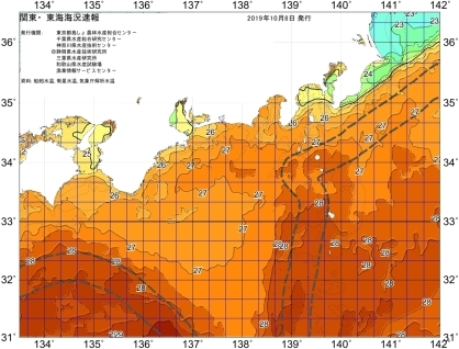 黒潮の反転流_f0009039_17501363.jpeg