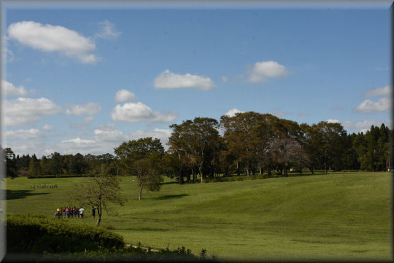 f0363141_07151001.jpg