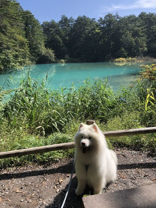 2019年9月 みちのく旅行 その3_f0128542_00421823.jpg