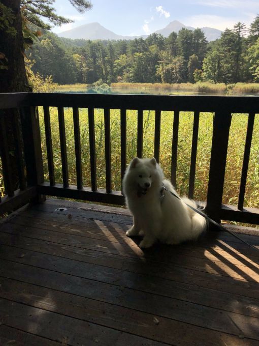 2019年9月 みちのく旅行 その3_f0128542_00444892.jpg