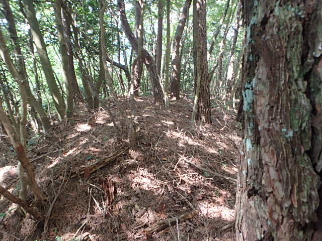 f0334143_2011263.jpg