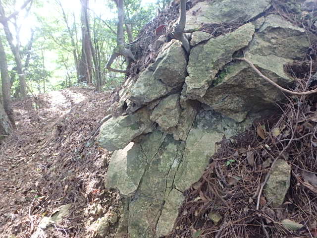f0334143_20112789.jpg