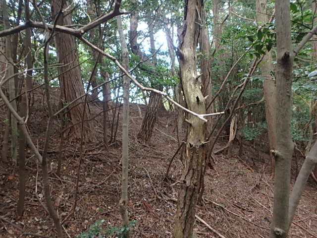 f0334143_20141196.jpg