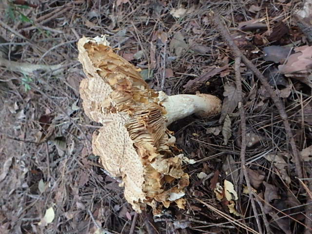 f0334143_2015494.jpg