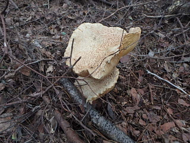 f0334143_202075.jpg