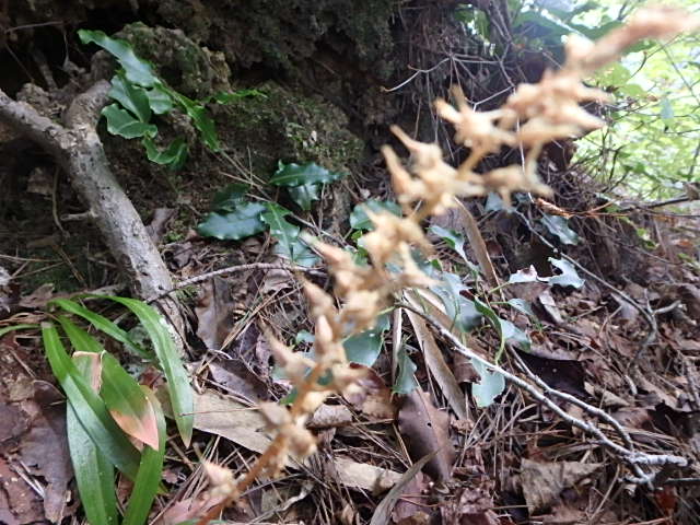 f0334143_2033966.jpg