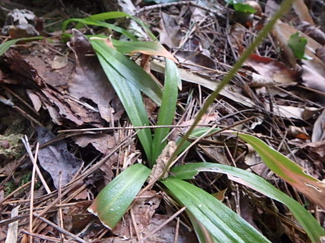 f0334143_2035212.jpg
