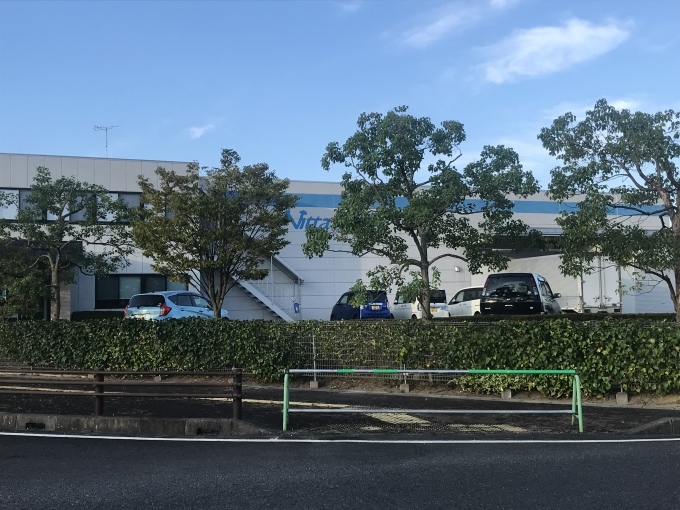 桜の木、葉っぱも一気にこぼれ落ち_b0100062_08164933.jpeg