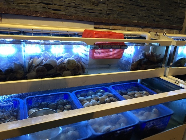 b0060363_22033359.jpeg