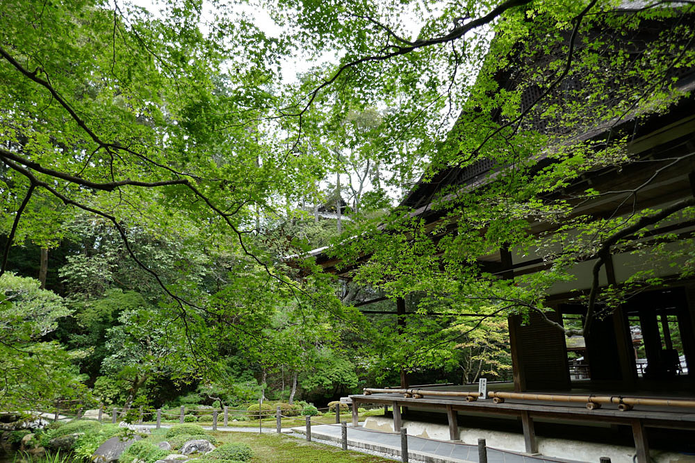 ９月の京都　その３（南禅院〜知恩院）_f0199866_06423409.jpg